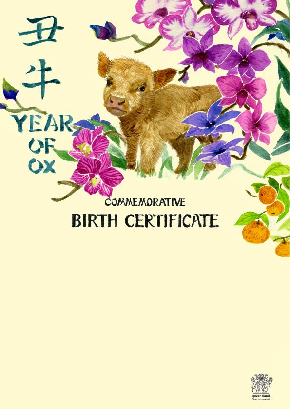 Birth certificate for the Year of the Ox, this design pairs the Ox with Queensland's floral emblem, the Cooktown Orchid