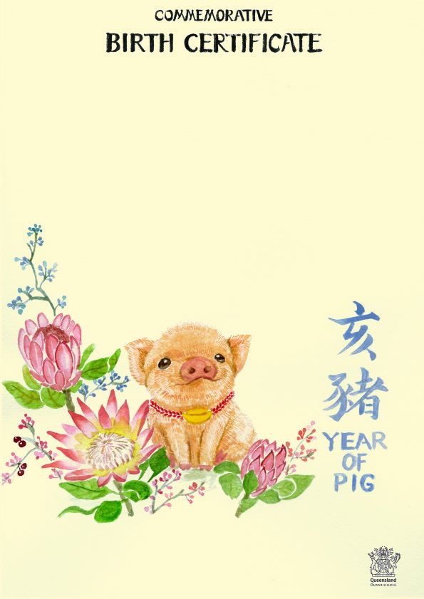 Birth certificate for the Year of the Pig, this design the Pig is symbolically joined by protea flowers