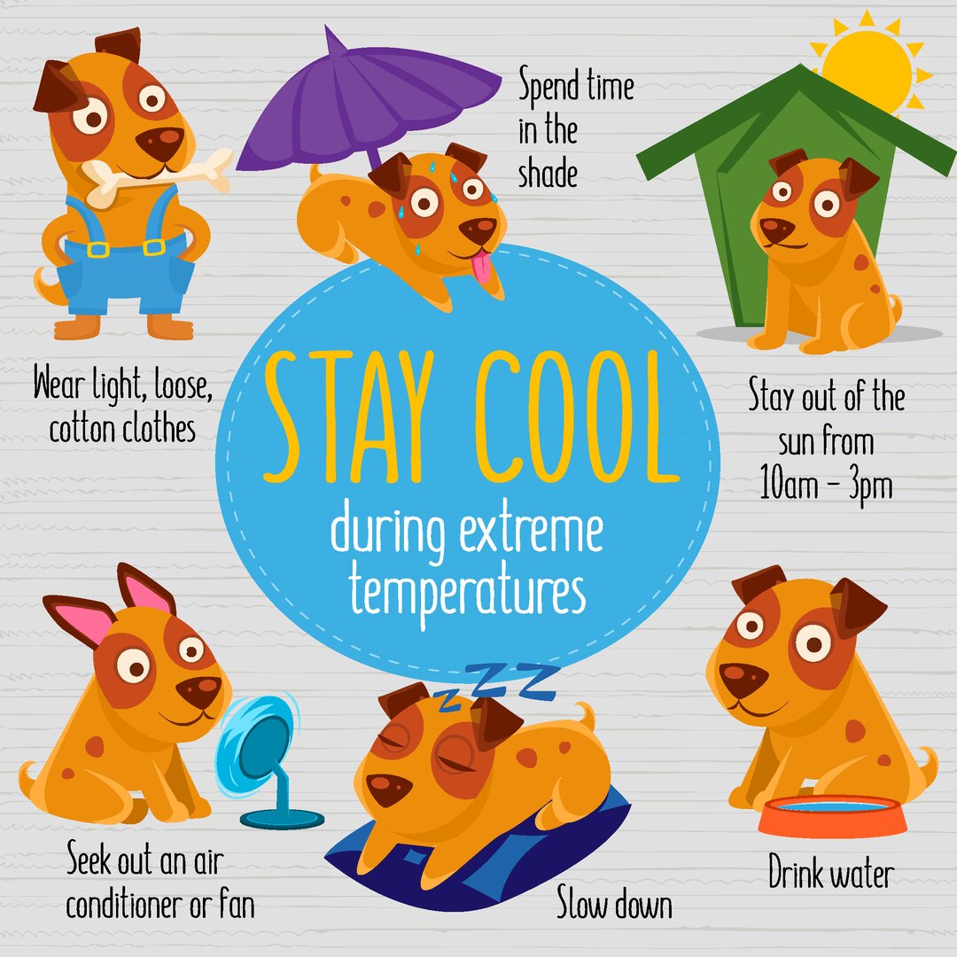 Stay cool during extreme temperatures: spend time in the shade, wear light, loose, cotton clothes, stay out of the sun from 10am to 3pm, seek out an air conditioner or fan, drink water, slow down