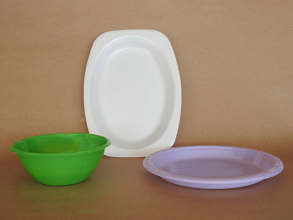 Single-use plastic plates and bowls