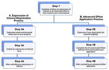 Flowchart graphic showing the Four-Step Guide to navigate the process to register land as an environmental offset.