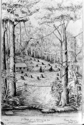 Pencil drawing of road survey camp in Moggill in 1875