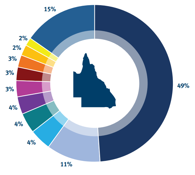 Pie chart showing percentage of different models of battery electric vehicles registered in Queensland as at 31 January 2023.