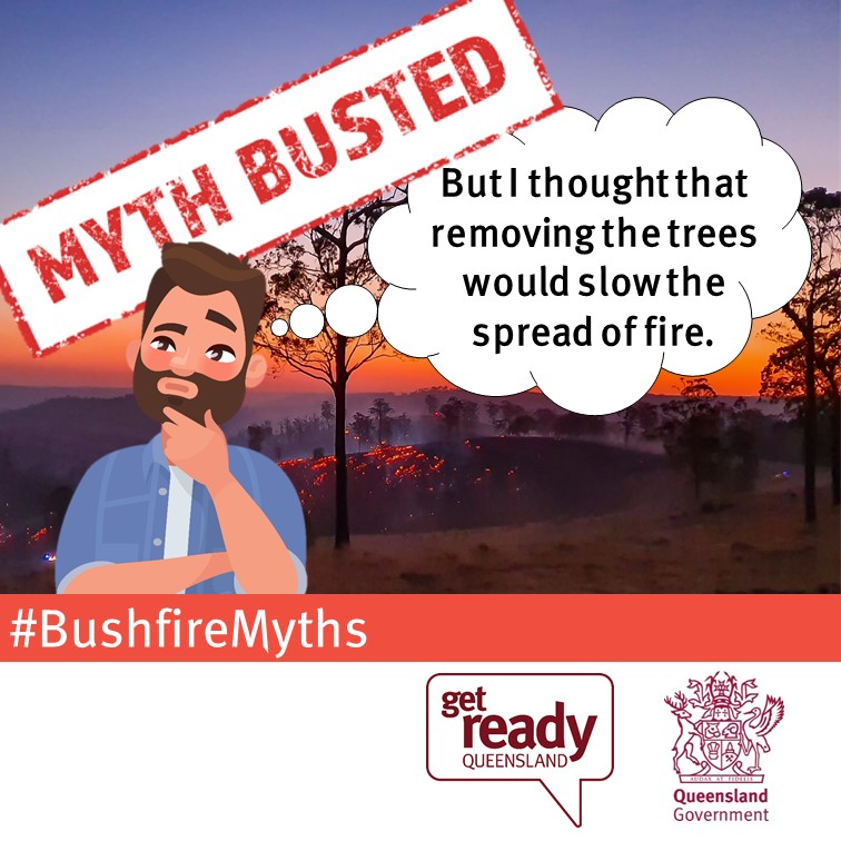 Myth busted! – “But I thought that removing trees would slow the spread of fire.”