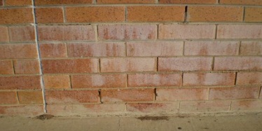 Indicator of urban salinity - salting of brickwork