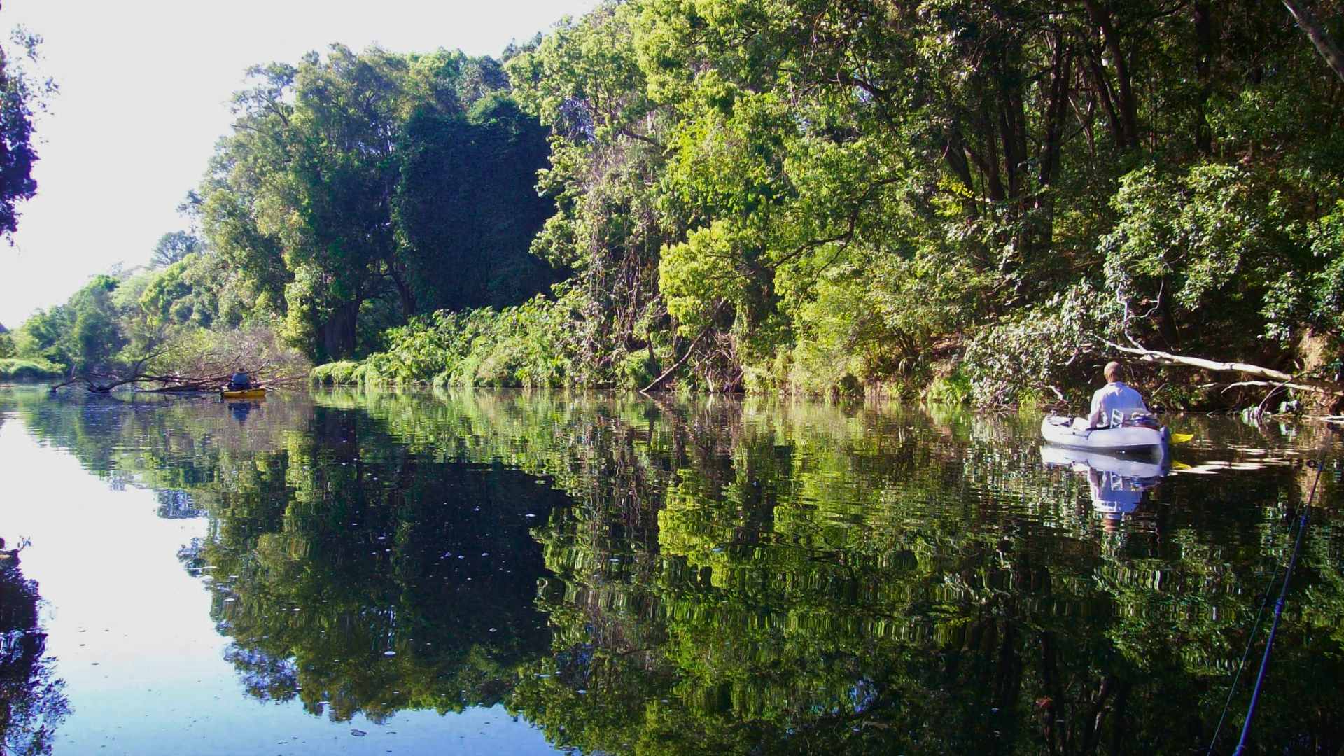 Low concrete weir across the Caboolture River surrounded by trees.
