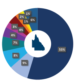 Pie graph representing the different battery models registered in Queensland