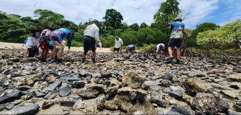 A group of people in a circle moving rocks back to a low rock wall on a rocky shore