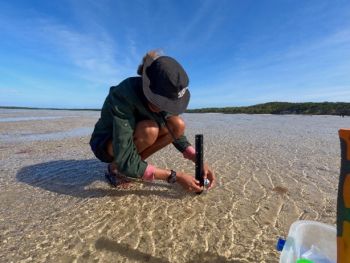 Ranger installs a piece of scientific equipment in shallows on the beach