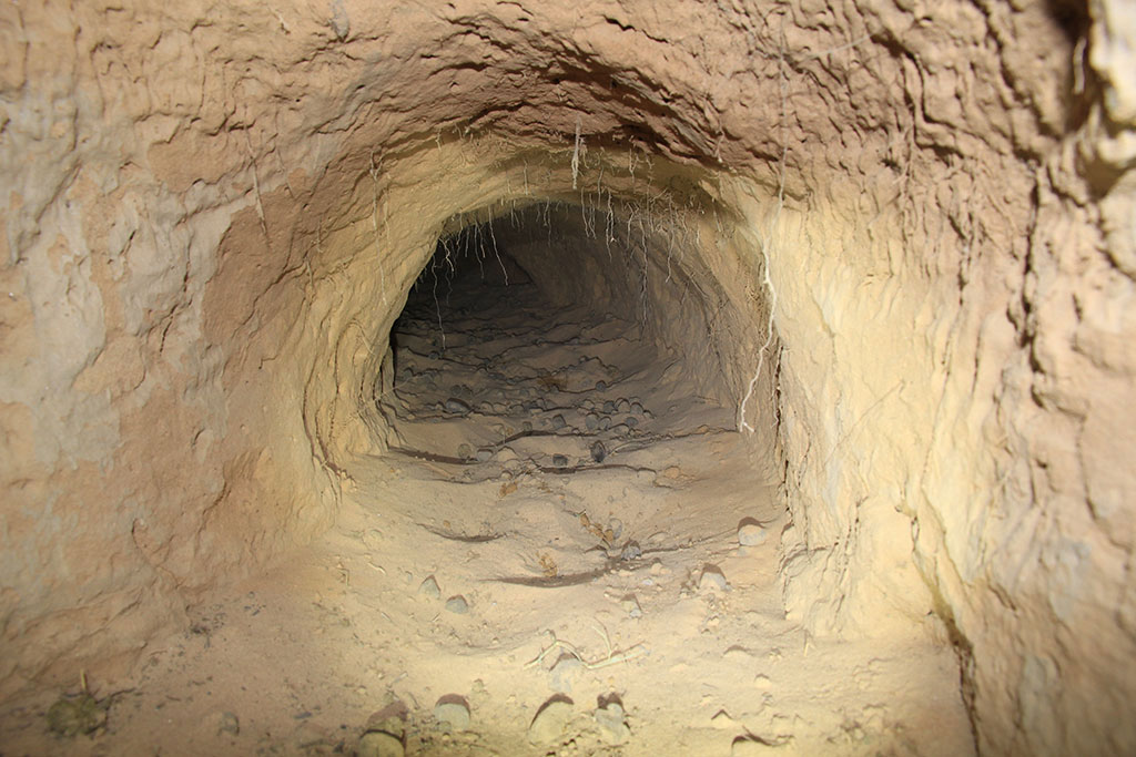Northern hairy-nosed wombat burrow entrance. 