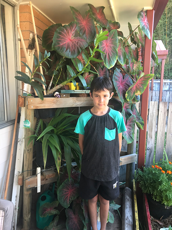 Malakai proudly stands in front of lush pot plants on shelving outdoors..