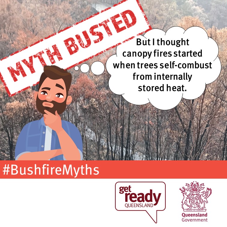 Bushfire myth - But I thought that removing trees would slow the spread of fire