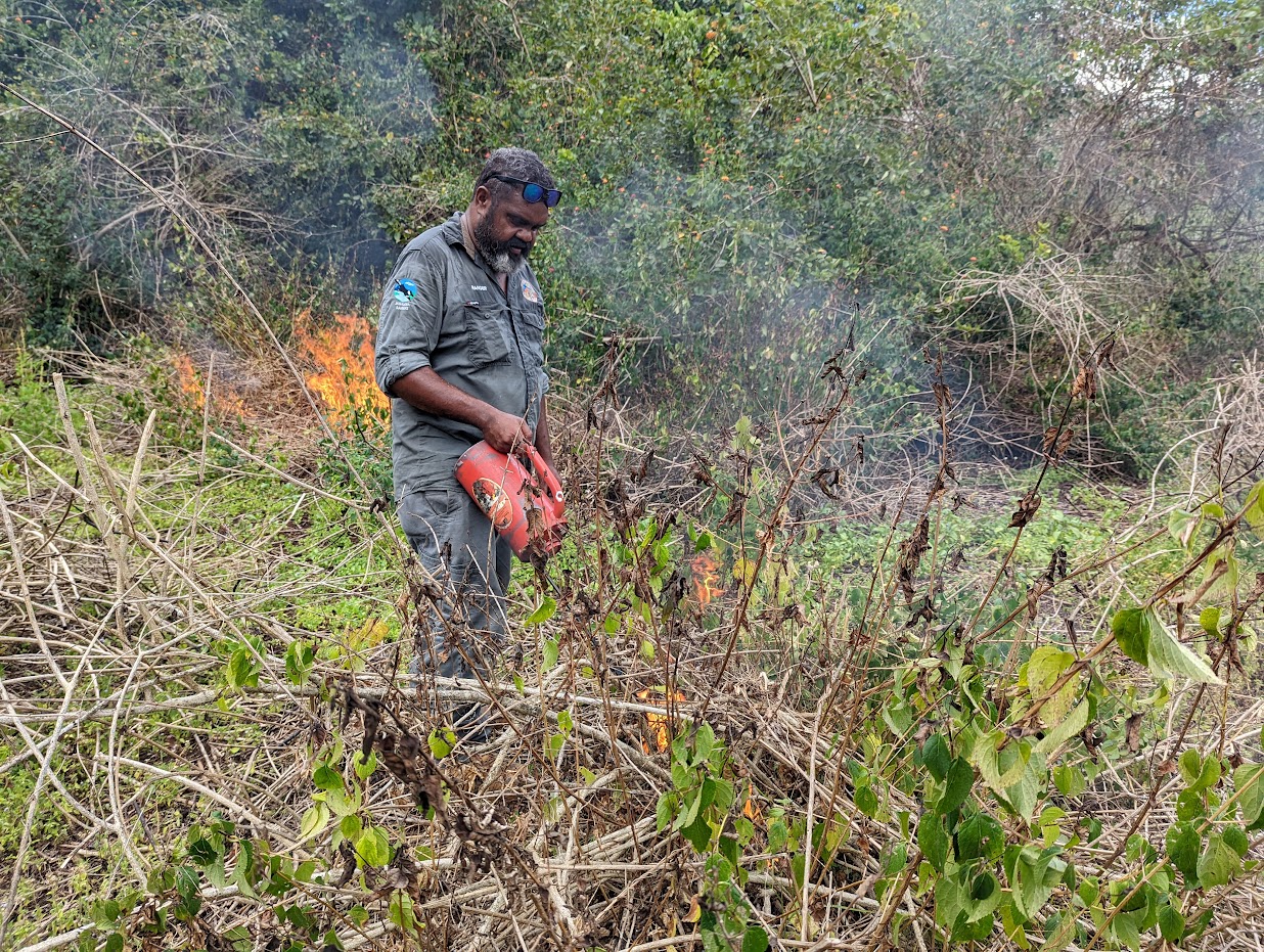 Ranger applies fire to weeds with a drip torch
