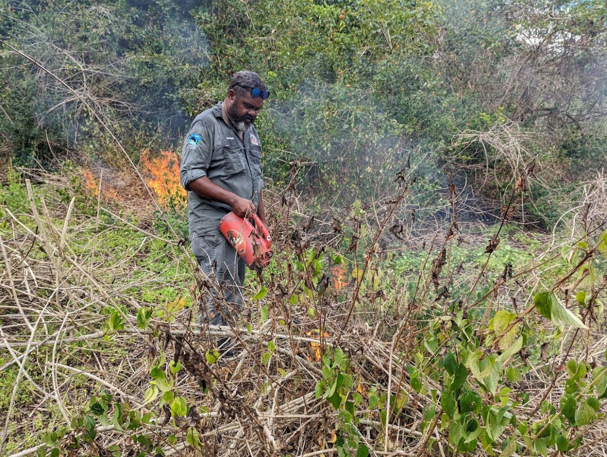 Ranger applies fire to weeds with a drip torch