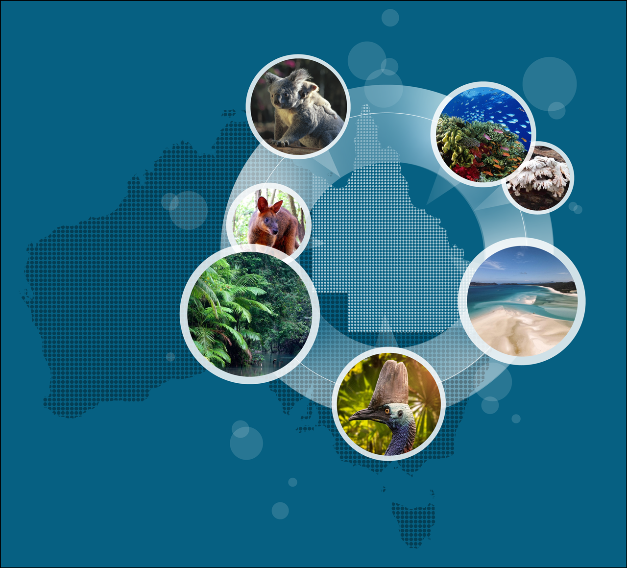 logo for Threatened species prioritization tool