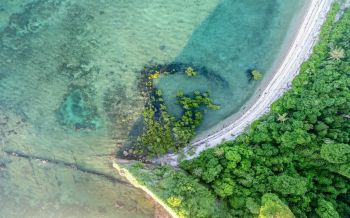 Traditional fish trap from the air on Baiigal Island