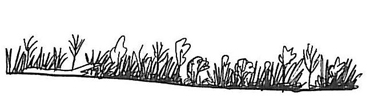 Illustration of state 7 (grassland dominated by exotic grasses)