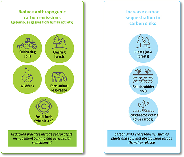Carbon farming land management activities seek to reduce anthropogenic carbon emissions or increase carbon sequestration in carbon sinks