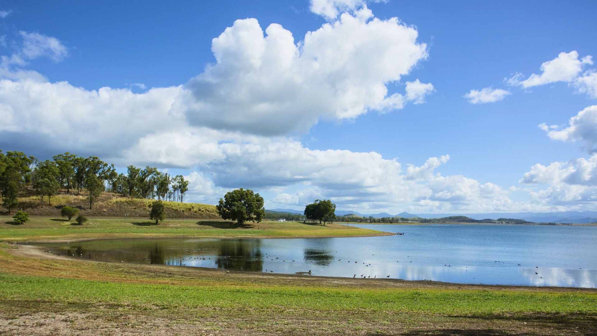 Grassy shoreline at Kinchant Dam with blue water and scattered trees.