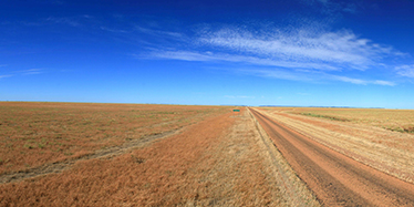Image of landscape with high percentage of non-green ground cover near Longreach, Queensland.