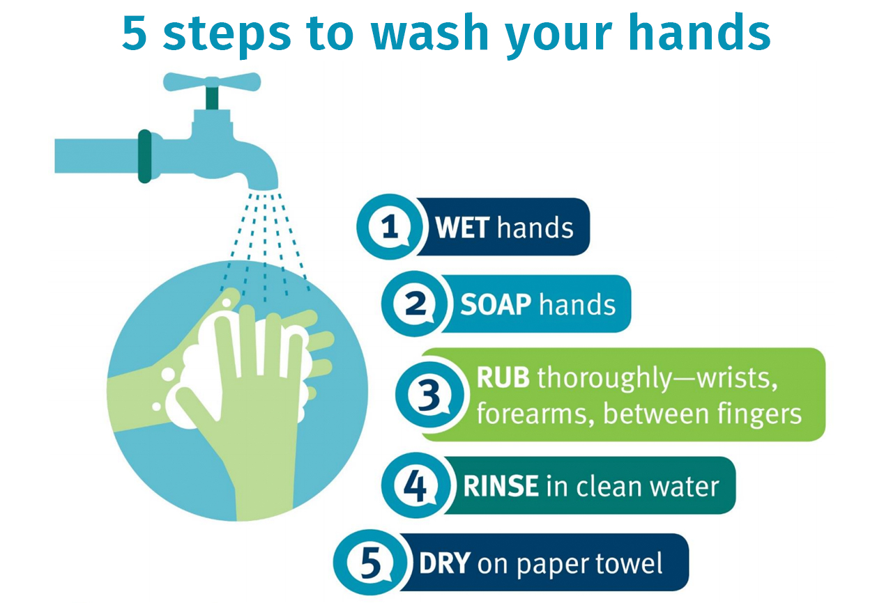 5 steps to wash your hands.  1. Wet hands. 2. Soap hands. 3. Rub thoroughly. 4. Rinse in clean water. 5. Dry on paper towel. 