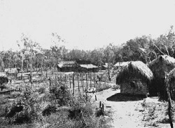 Image of Mitchell River Mission taken in 1919