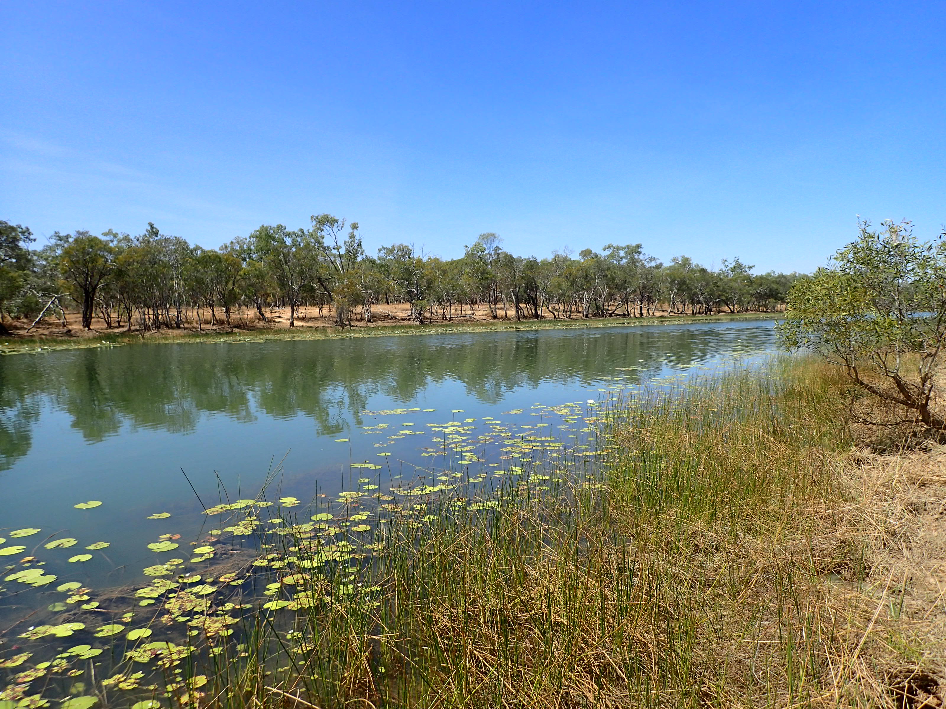 Boomerang Lagoon – Abingdon Downs North Nature Refuge – Gulf Plains