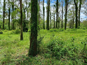 Photo of Logan River.
