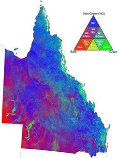 Map of Queensland showing example of seasonal fractional ground cover product. Seasonal summaries are produced by compositing a range of dates and presenting the median cover for that period.