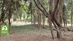 Photo of Woollaman Creek intersection