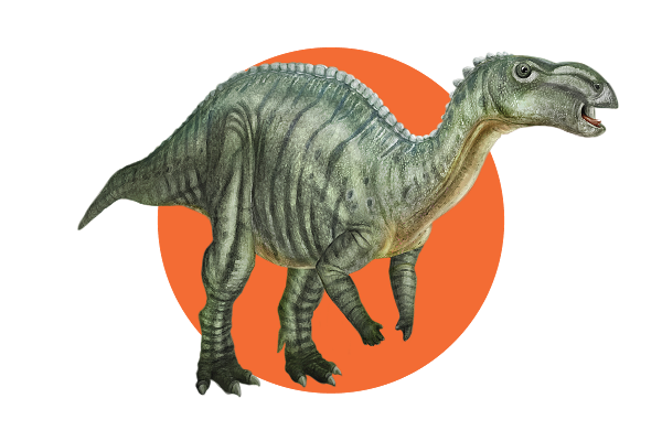 Muttaburrasaurus langdoni