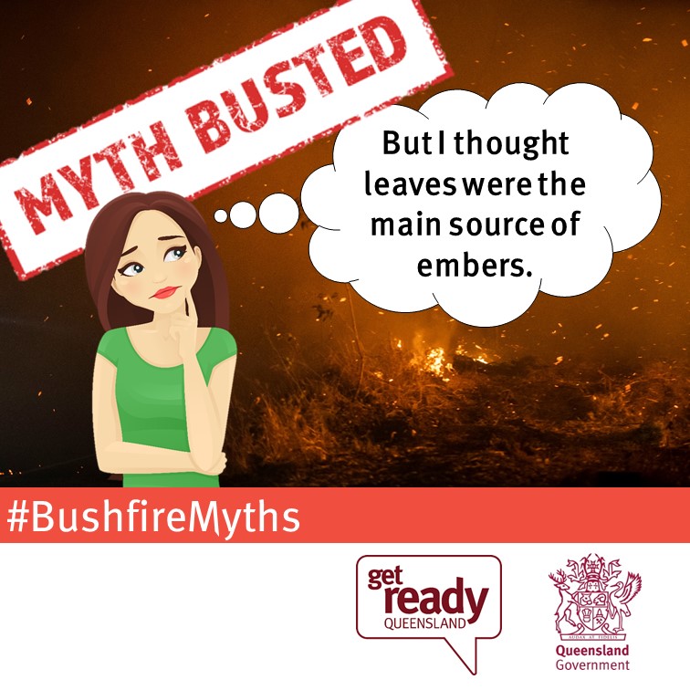 Myth busted! – “But I thought leaves were the main source of embers.”
