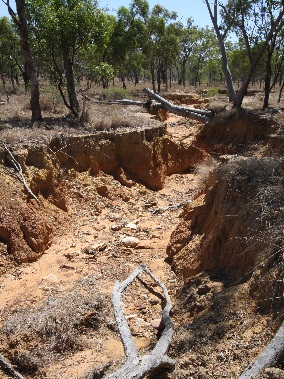 A highly eroded gully