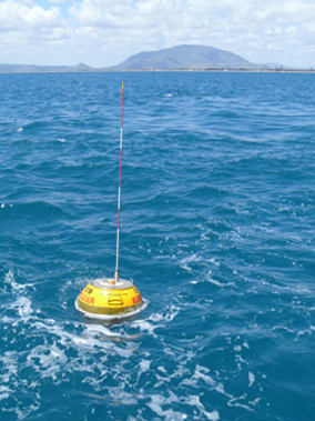 One of the Wave monitoring buoys used in Queensland waters