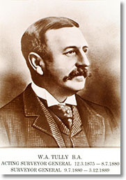 Portrait of William Alcock Tully