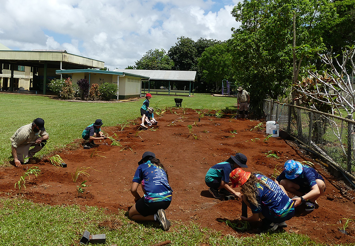 Photo of Mamu rangers building a bush tucker garden with South Johnstone State School students.