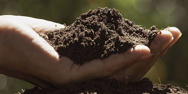 Photo of a person’s hand holding soil