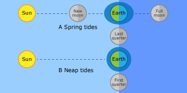 Illustration of the physical alignment of the sun, moon and earth to generate a spring tide and a neap tide