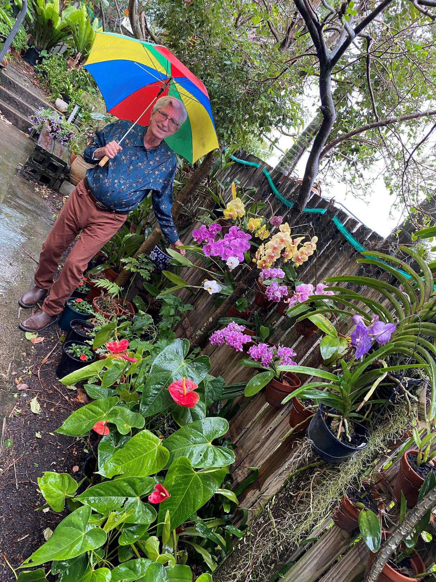Ralp Parker holding an umbrella, standing with his purple orchids