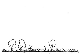 Illustration of state 8 (grassland with or without scattered shrubs)