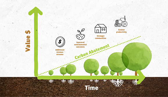 As carbon abatement increases over time, landholders can earn an ongoing income and gain a range of other benefits through carbon farming.