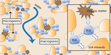 Illustration showing water flowing through macropores, micropores, soil minerals and organic matter