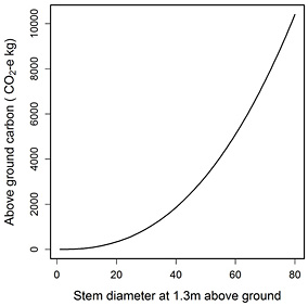 A graph showing a \'general\' relationship between above-ground carbon storage and tree size for woodland eucalypts.