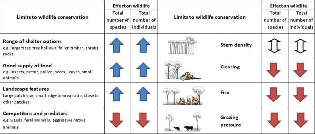 A summary of limits to wildlife conservation for brigalow