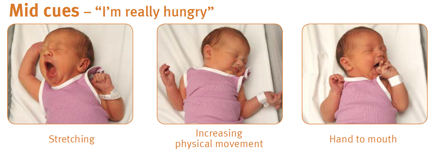 Baby showing mid signs (cues) that they are hungry including stretching, increasing physical movement and bringing hand to mouth.