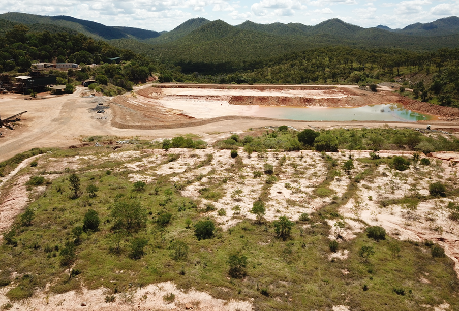 Trial revegetation areas
