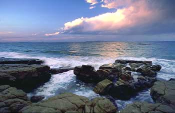 Rocky Shore Environment Land And Water Queensland Government