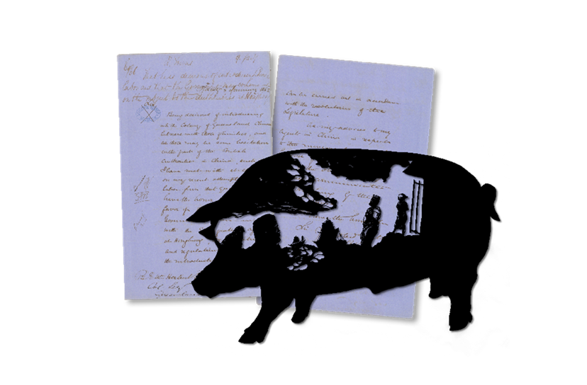 Pig artwork with archival records