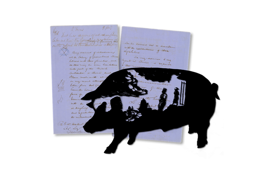 Pig artwork with archival records