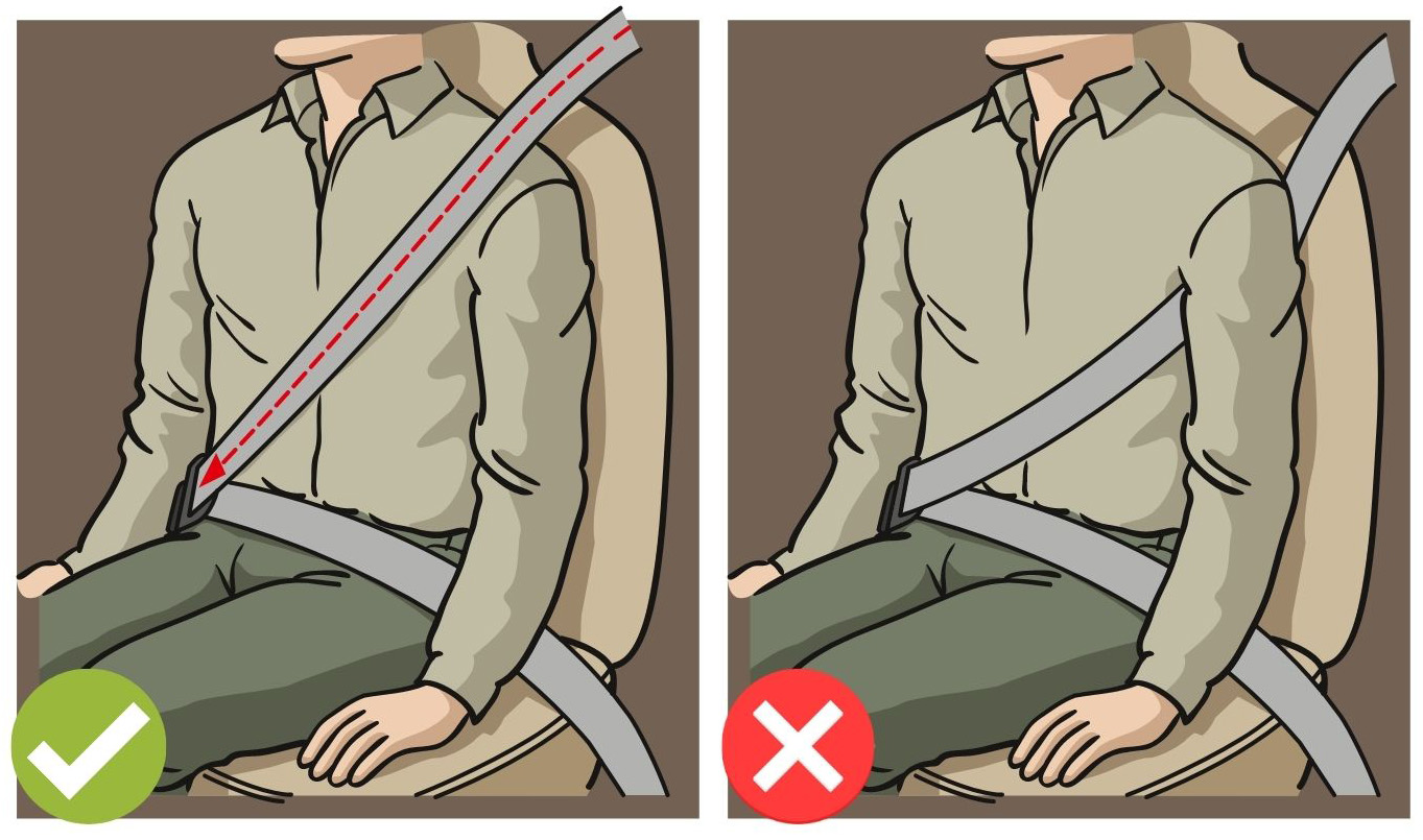 Seatbelt Rules Transport And Motoring